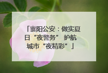 襄阳公安：做实夏日“夜警务” 护航城市“夜精彩”