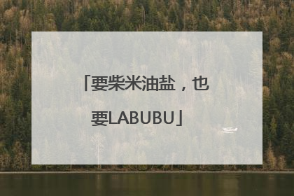 要柴米油盐，也要LABUBU