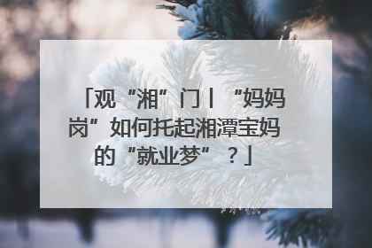 观“湘”门丨“妈妈岗”如何托起湘潭宝妈的“就业梦”？