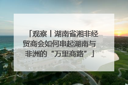 观察丨湖南省湘非经贸商会如何串起湖南与非洲的“万里商路”