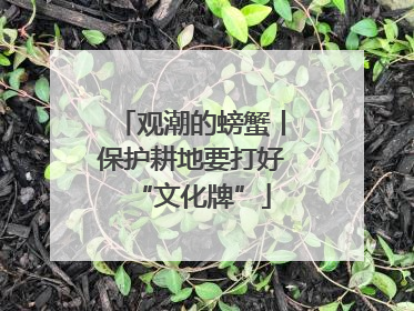 观潮的螃蟹丨保护耕地要打好“文化牌”
