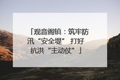 观音阁镇：筑牢防汛“安全堤” 打好抗洪“主动仗”