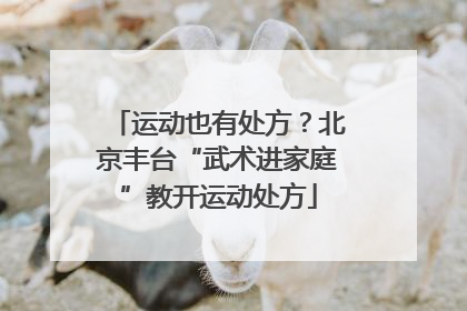 运动也有处方？北京丰台“武术进家庭”教开运动处方