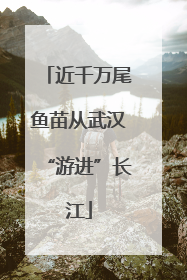 近千万尾鱼苗从武汉“游进”长江