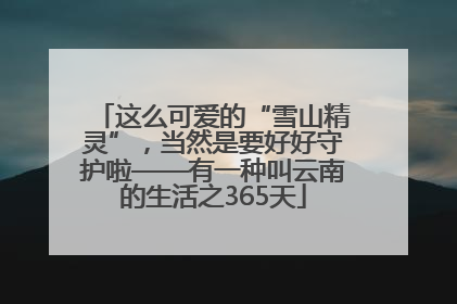 这么可爱的“雪山精灵”，当然是要好好守护啦——有一种叫云南的生活之365天