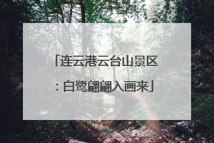 连云港云台山景区：白鹭翩翩入画来