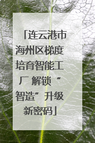 连云港市海州区梯度培育智能工厂 解锁“智造”升级新密码