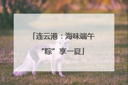 连云港：海味端午 “粽”享一夏