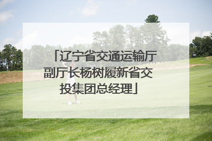 辽宁省交通运输厅副厅长杨树履新省交投集团总经理