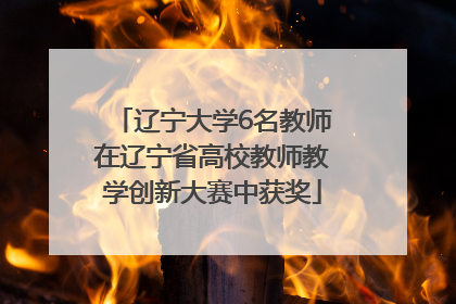 辽宁大学6名教师在辽宁省高校教师教学创新大赛中获奖