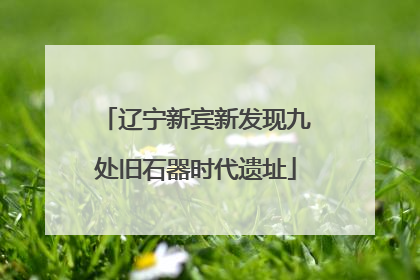辽宁新宾新发现九处旧石器时代遗址