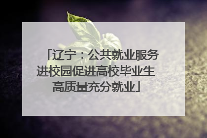 辽宁：公共就业服务进校园促进高校毕业生高质量充分就业