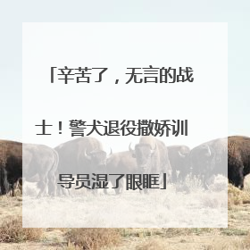 辛苦了，无言的战士！警犬退役撒娇训导员湿了眼眶