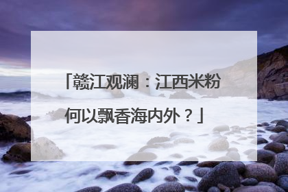 赣江观澜：江西米粉何以飘香海内外？
