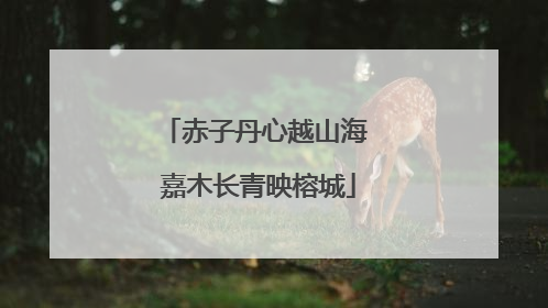 赤子丹心越山海 嘉木长青映榕城