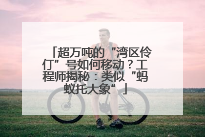 超万吨的“湾区伶仃”号如何移动？工程师揭秘：类似“蚂蚁托大象”