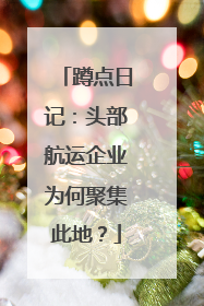 蹲点日记：头部航运企业为何聚集此地？