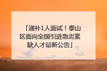 递补1人面试！泰山区面向全国引进急需紧缺人才最新公告