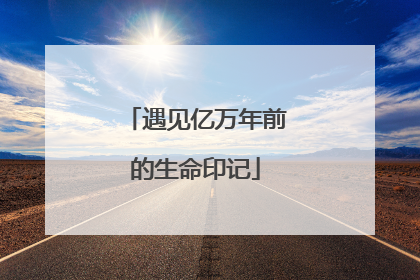 遇见亿万年前的生命印记