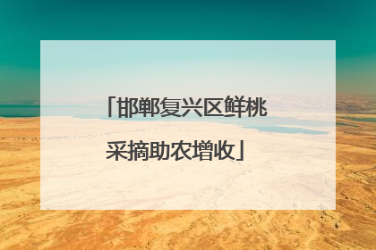 邯郸复兴区鲜桃采摘助农增收