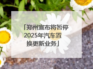 郑州宣布将暂停2025年汽车置换更新业务