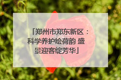 郑州市郑东新区：科学养护绘荷韵 盛景迎客绽芳华