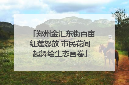 郑州金汇东街百亩红莲怒放 市民花间起舞绘生态画卷