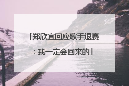 郑欣宜回应歌手退赛：我一定会回来的