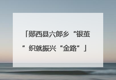 郧西县六郎乡“银茧”织就振兴“金路”