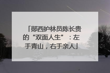 郧西护林员陈长贵的“双面人生”：左手青山，右手亲人