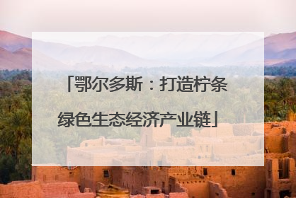 鄂尔多斯：打造柠条绿色生态经济产业链