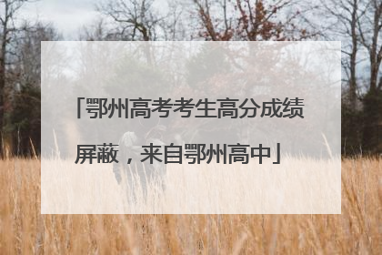 鄂州高考考生高分成绩屏蔽，来自鄂州高中