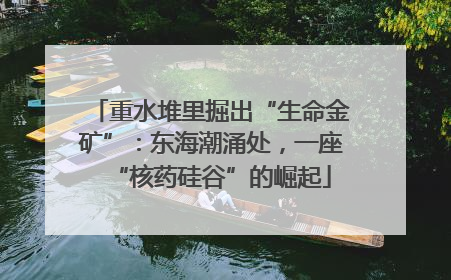 重水堆里掘出“生命金矿”：东海潮涌处，一座“核药硅谷”的崛起