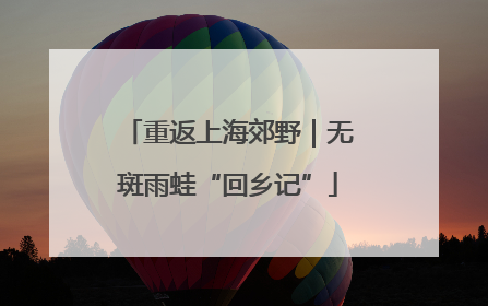 重返上海郊野｜无斑雨蛙“回乡记”
