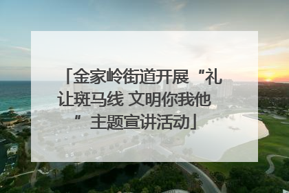 金家岭街道开展“礼让斑马线 文明你我他”主题宣讲活动