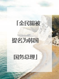 金民锡被提名为韩国国务总理