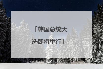 韩国总统大选即将举行
