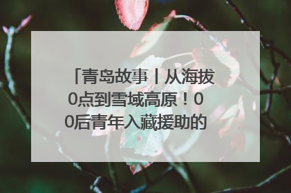 青岛故事丨从海拔0点到雪域高原！00后青年入藏援助的400多个日夜