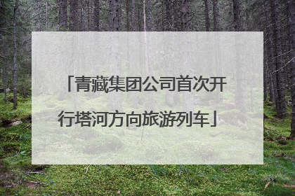 青藏集团公司首次开行塔河方向旅游列车