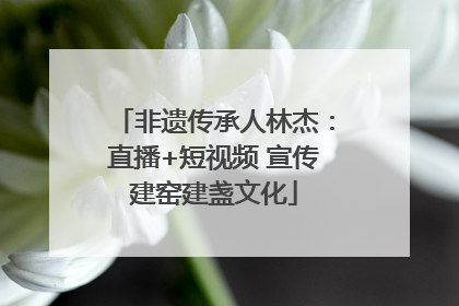 非遗传承人林杰：直播+短视频 宣传建窑建盏文化