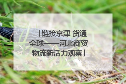 链接京津 货通全球——河北商贸物流新活力观察