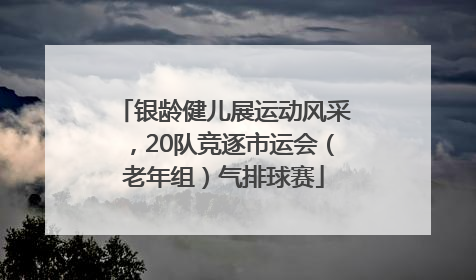 银龄健儿展运动风采，20队竞逐市运会（老年组）气排球赛