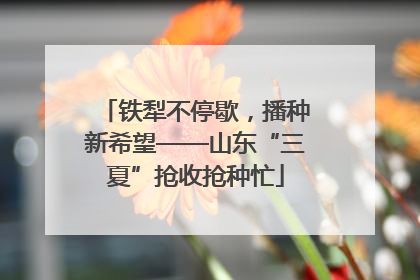 铁犁不停歇，播种新希望——山东“三夏”抢收抢种忙