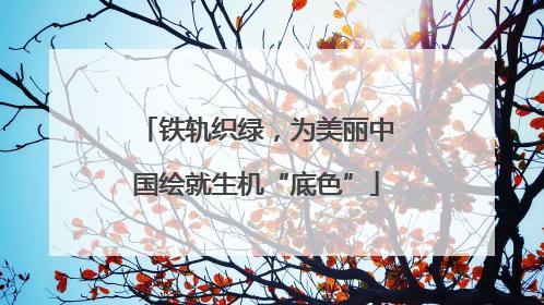 铁轨织绿，为美丽中国绘就生机“底色”