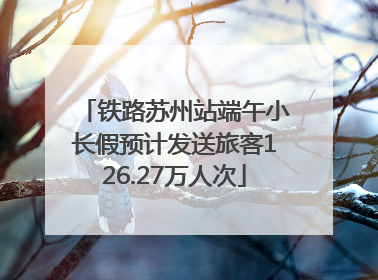 铁路苏州站端午小长假预计发送旅客126.27万人次