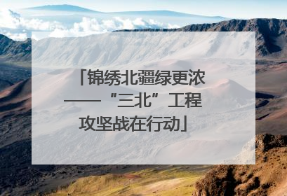 锦绣北疆绿更浓——“三北”工程攻坚战在行动