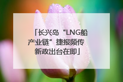 长兴岛“LNG船产业链”捷报频传 新政出台在即