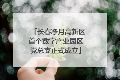 长春净月高新区首个数字产业园区党总支正式成立