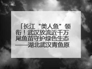 长江“美人鱼”领衔！武汉放流近千万尾鱼苗守护绿色生态——湖北武汉青鱼原种场参加2025年“全国放鱼日”增殖放流活动