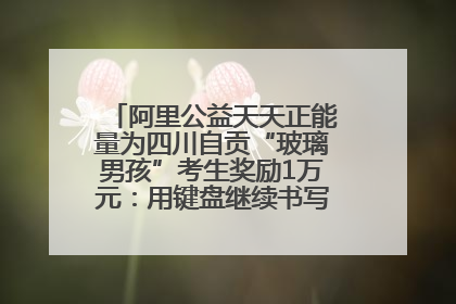 阿里公益天天正能量为四川自贡“玻璃男孩”考生奖励1万元：用键盘继续书写不设限的人生